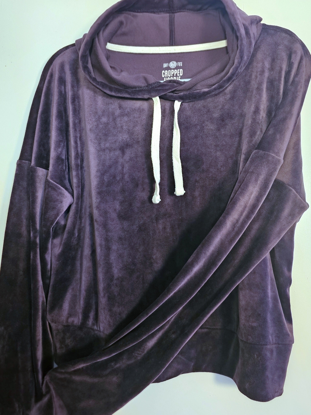 SO Plush Velour Cropped Hoodie in Purple